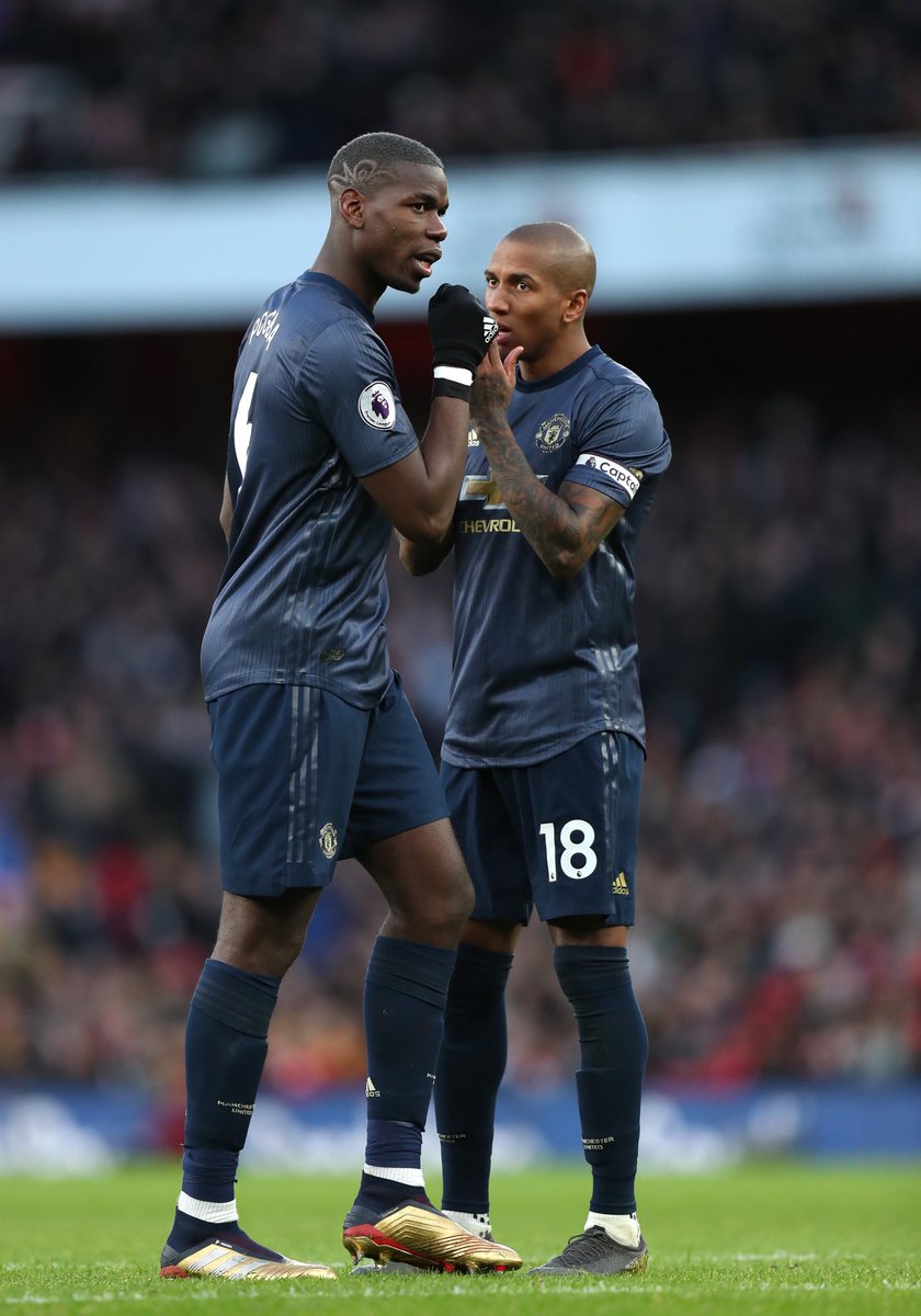 Adidas predator 19 discount pogba